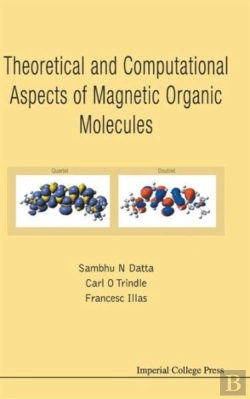 Bertrand.pt - Theoretical And Computational Aspects Of Magnetic Organic Molecules