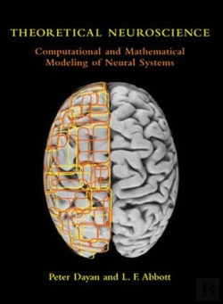 Bertrand.pt - Theoretical Neuroscience