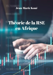Théorie De La Rse En Afrique