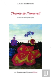 Theorie De L'Emerveil