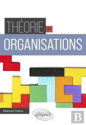 Théorie Des Organisations