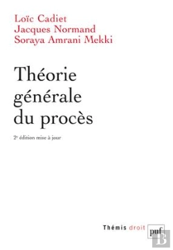 Bertrand.pt - Théorie Générale Du Procès (2e Édition)