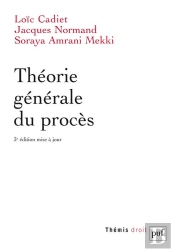 Théorie Générale Du Procès