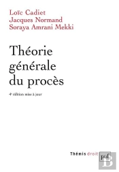 Théorie Générale Du Procès