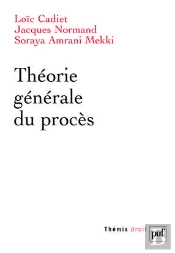 Théorie Générale Du Procès