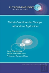 Théorie Quantique Des Champs ; Méthodes Et Applications
