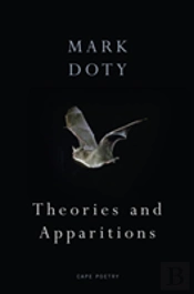 Theories And Apparitions