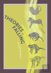Theories Of Falling