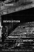 Theory Of Devolution