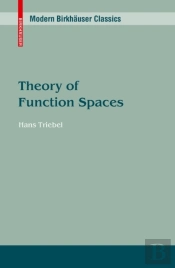 Theory Of Function Spaces