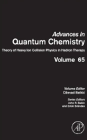 Theory Of Heavy Ion Physics In Medicine