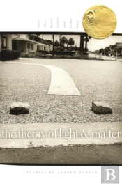 Theory Of Light And Matter