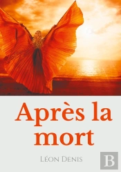 Théosophie Et Anthroposophie Tome 5; Après La Mort ; Petit Précis De Spiritisme Sur La Reincarnation