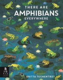There Are Amphibians Everywhere