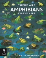 There Are Amphibians Everywhere