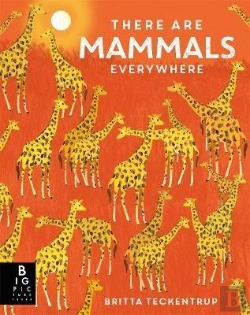Bertrand.pt - There Are Mammals Everywhere