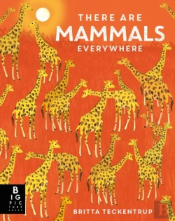 Bertrand.pt - There Are Mammals Everywhere