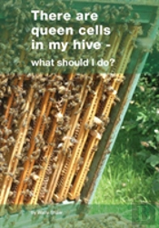 There Are Queen Cells In My Hive