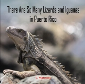 There Are So Many Lizards And Iguanas In Puerto Rico