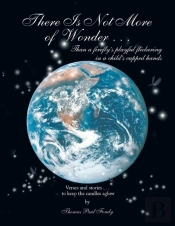There Is Not More Of Wonder