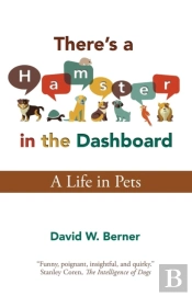 There'S A Hamster In The Dashboard