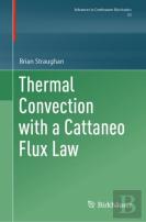 Thermal Convection With A Cattaneo Flux Law