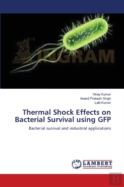 Bertrand.pt - Thermal Shock Effects On Bacterial Survival Using Gfp