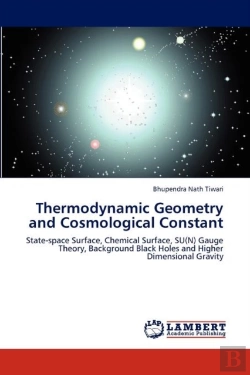 Bertrand.pt - Thermodynamic Geometry And Cosmological Constant