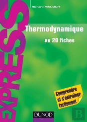 Thermodynamique En 20 Fiches