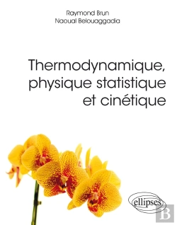 Bertrand.pt - Thermodynamique, Physique Statistique Et Cinétique