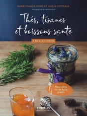 Thés ; Tisanes Et Boissons Santé À Faire Soi-Même ; Pour Offrir Ou Se Faire Plaisir