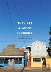They Are Almost Invisible