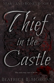 Thief In The Castle