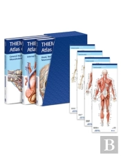 Thieme Atlas Of Anatomy, Latin Nomenclature, Three Volume Set, Third Edition