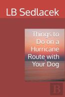 Things To Do On A Hurricane Watch With Your Dog
