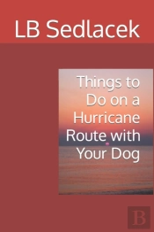 Things To Do On A Hurricane Watch With Your Dog