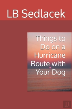 Bertrand.pt - Things To Do On A Hurricane Watch With Your Dog