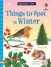 Things To Spot In Winter