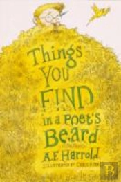 Things You Find In A Poet'S Beard