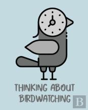 Thinking About Birdwatching
