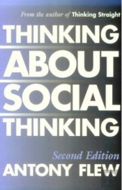 Thinking About Social Thinking