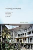 Thinking Like A Mall