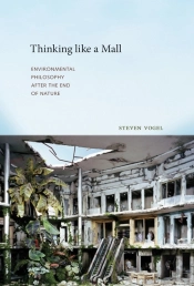 Thinking Like A Mall