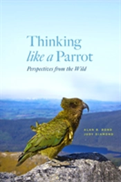 Thinking Like A Parrot