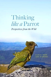 Thinking Like A Parrot