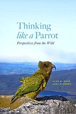 Bertrand.pt - Thinking Like A Parrot