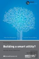 Thinking Of...Building A Smart Utility? Ask The Smart Questions