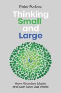 Thinking Small And Large