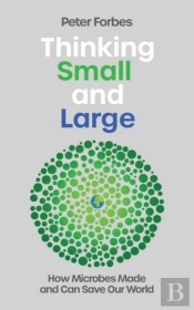 Thinking Small And Large