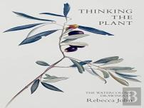 Thinking The Plant